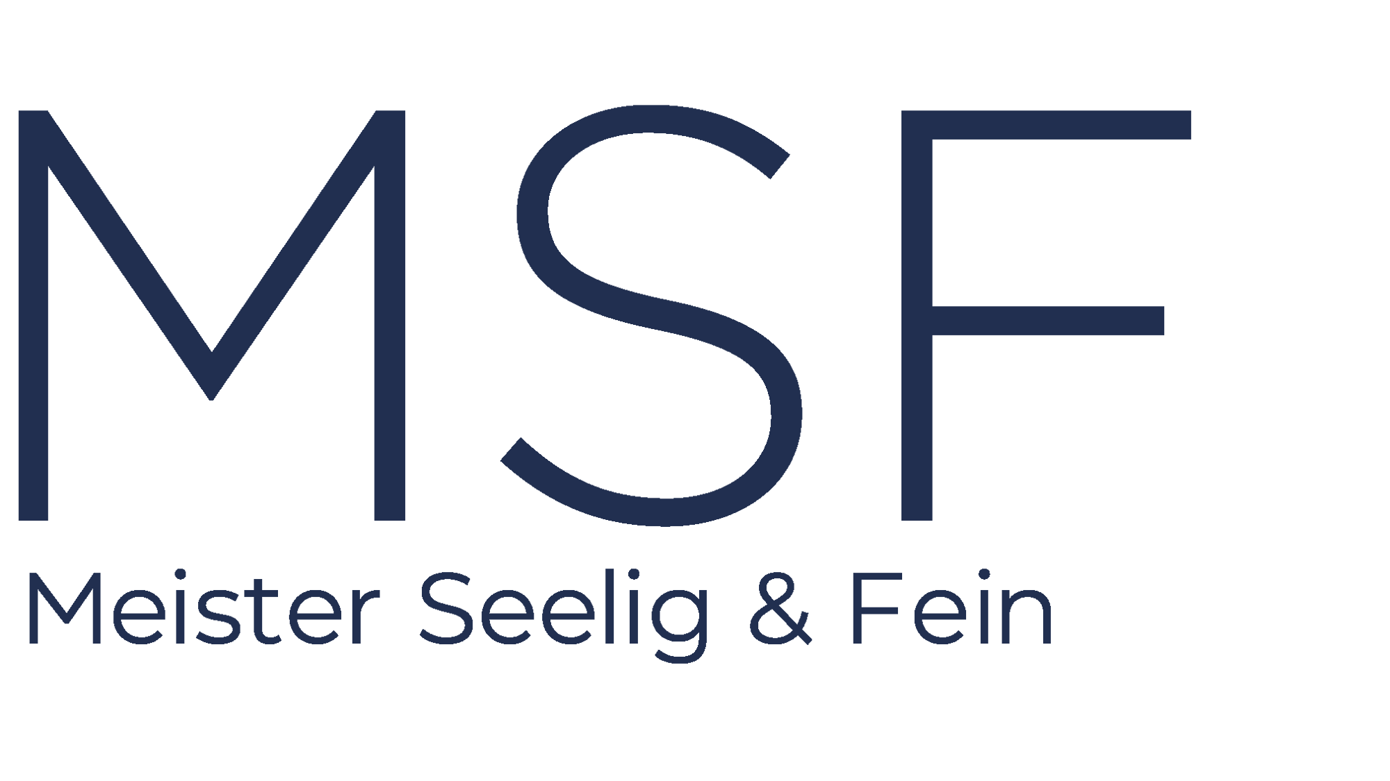 MSF_Meister Seelig & Fein_Logo_NAVY_No PLLC-1