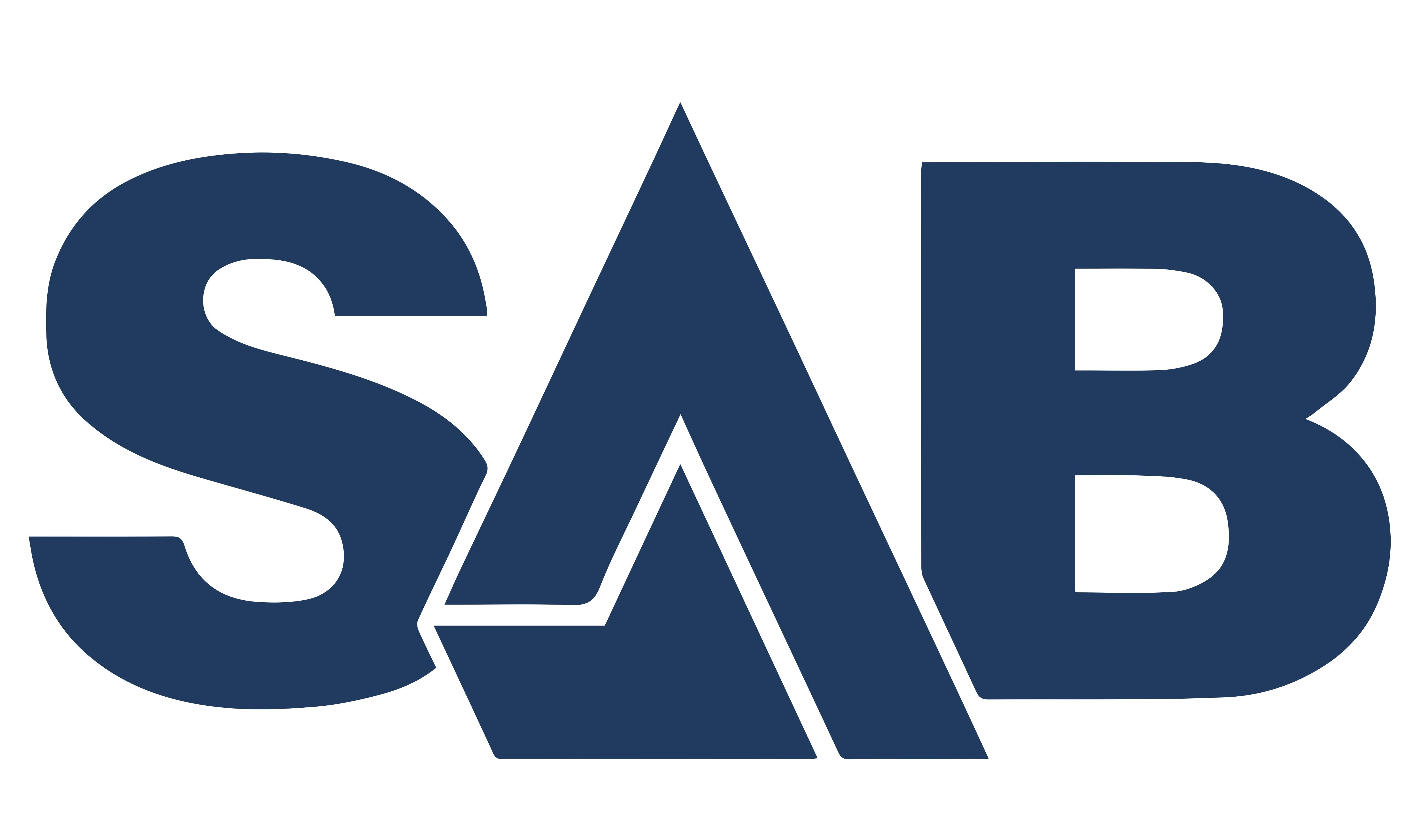 SAB Capital Logo